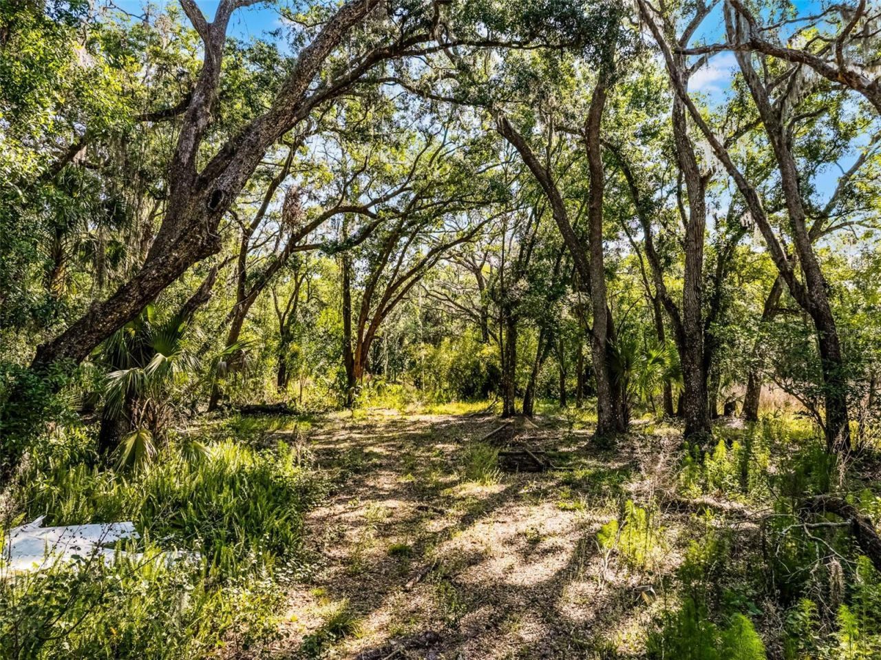 3633 Panther Path Road, Lutz, FL 33559 Photo