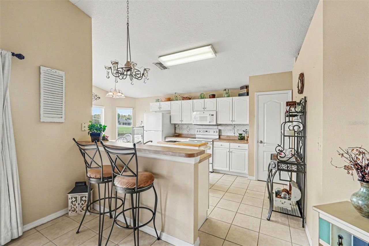 10130 Old Tampa Bay Drive , San Antonio, FL 33576 Photo