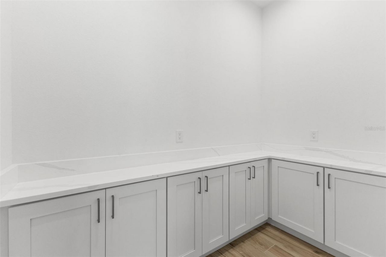 14282 Pine Straw Court, Dover, FL 33527 Photo