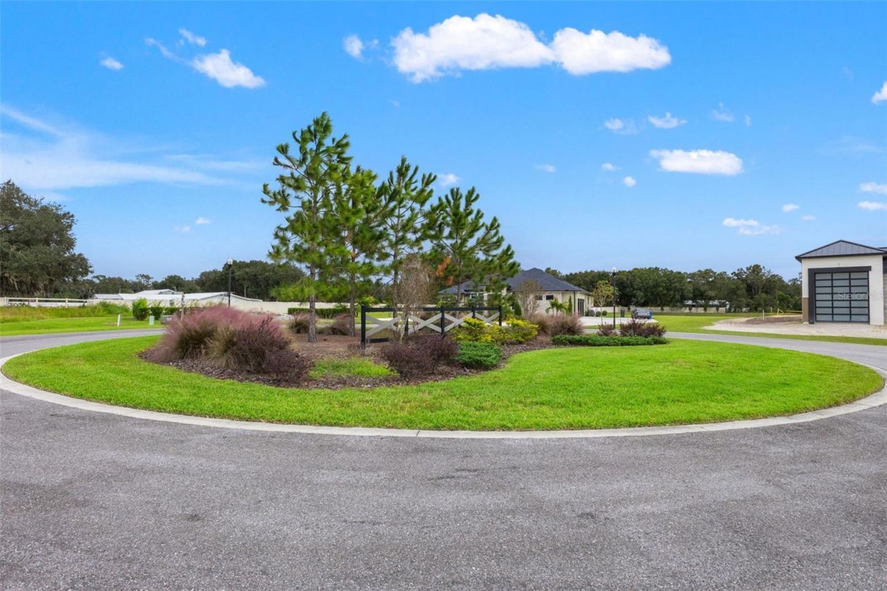 14282 Pine Straw Court, Dover, FL 33527 Photo