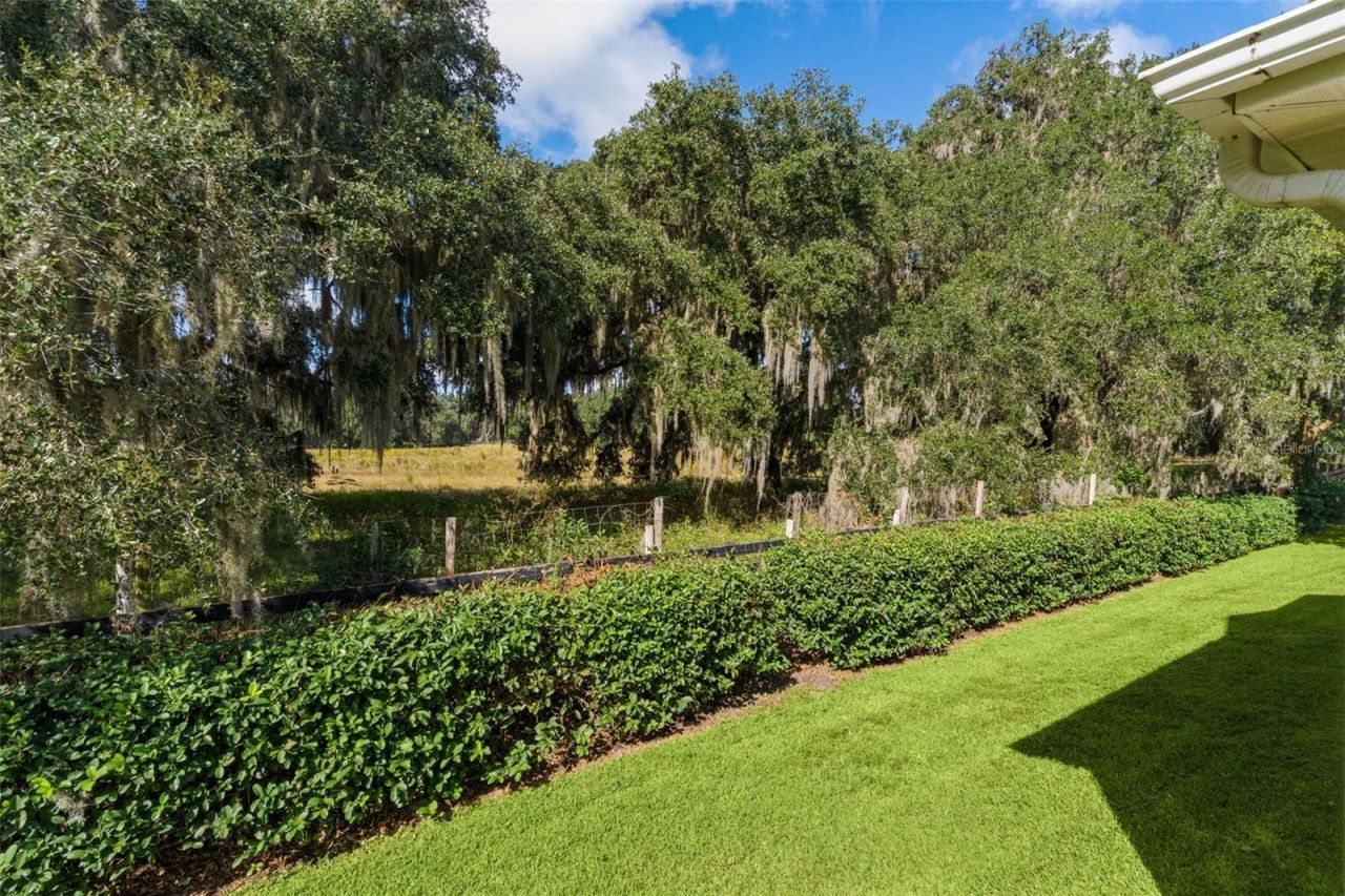7175 SE 173rd Arlington Loop, The Villages, FL 32162 Photo