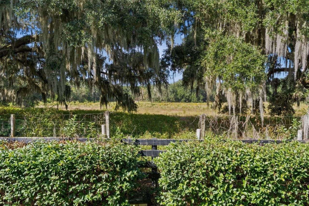 7175 SE 173rd Arlington Loop, The Villages, FL 32162 Photo