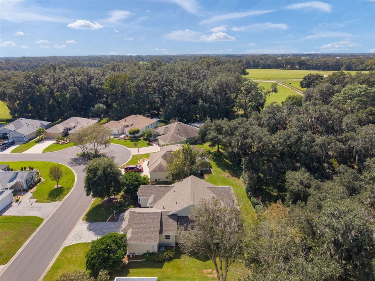 7175 SE 173rd Arlington Loop, The Villages, FL 32162 Photo