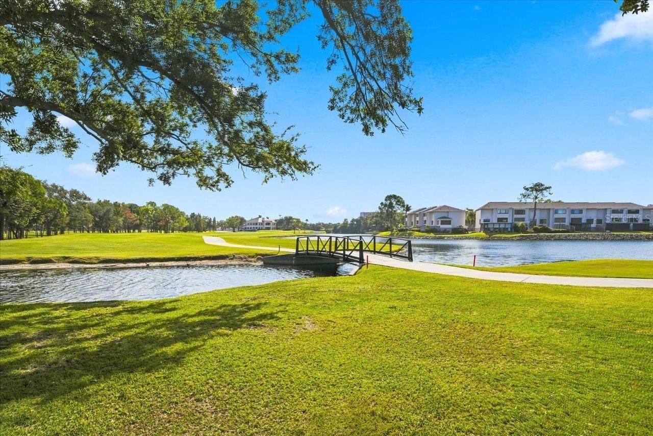 2534 Heron Lane N, Clearwater, FL 33762 Photo