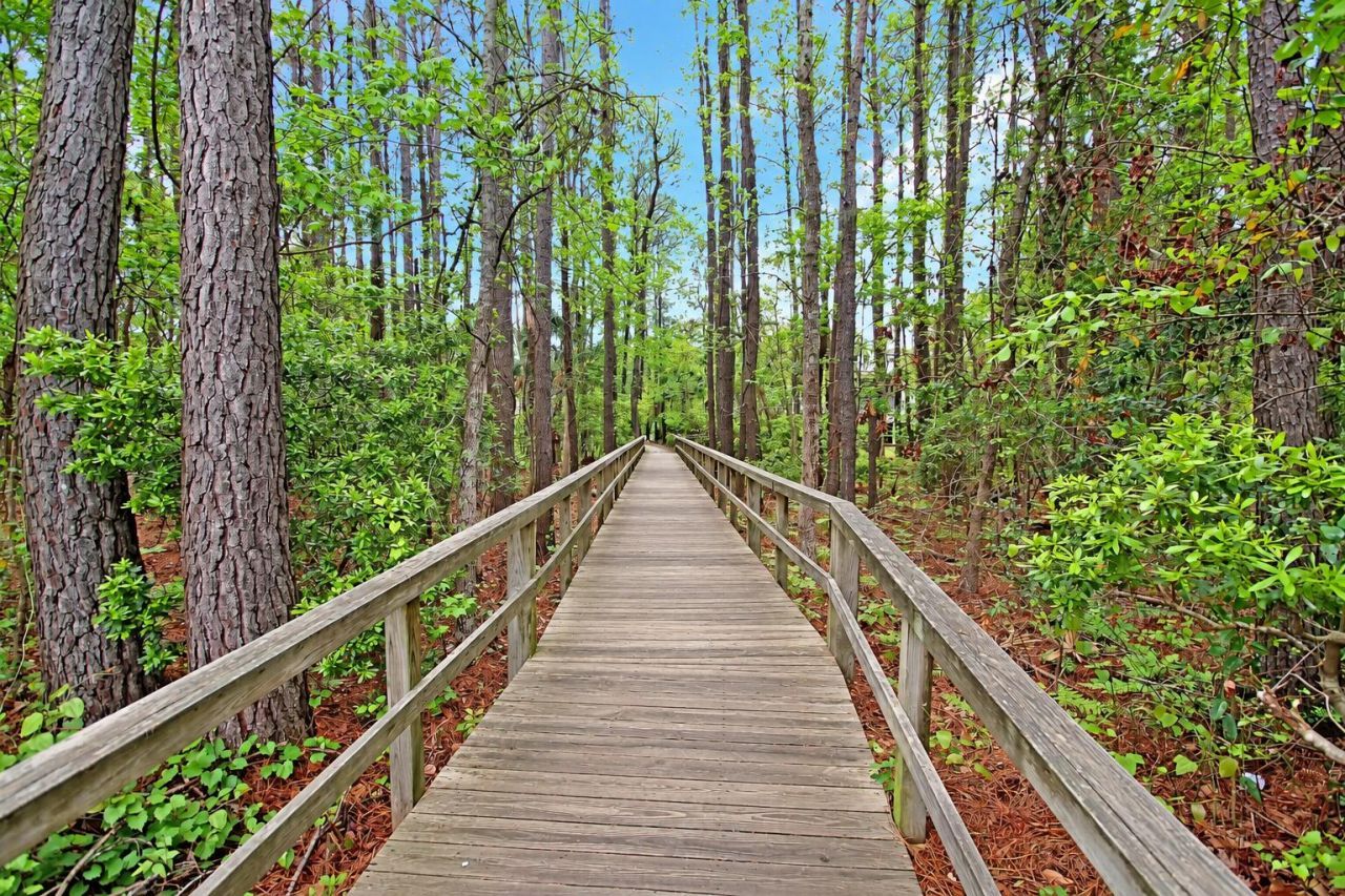 1412 Walking Trail Court Photo 77