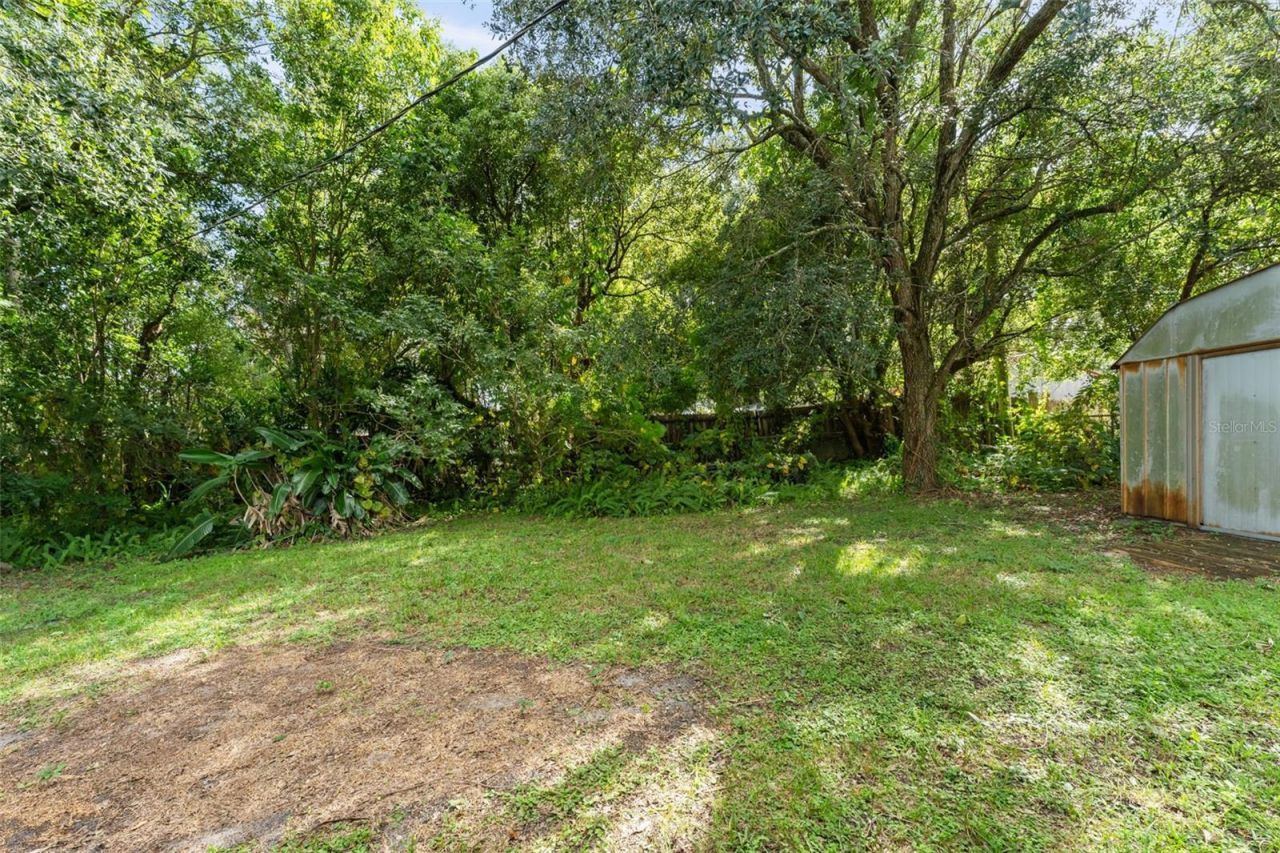 3462 Seagrape Drive, Winter Park, FL 32792 Photo