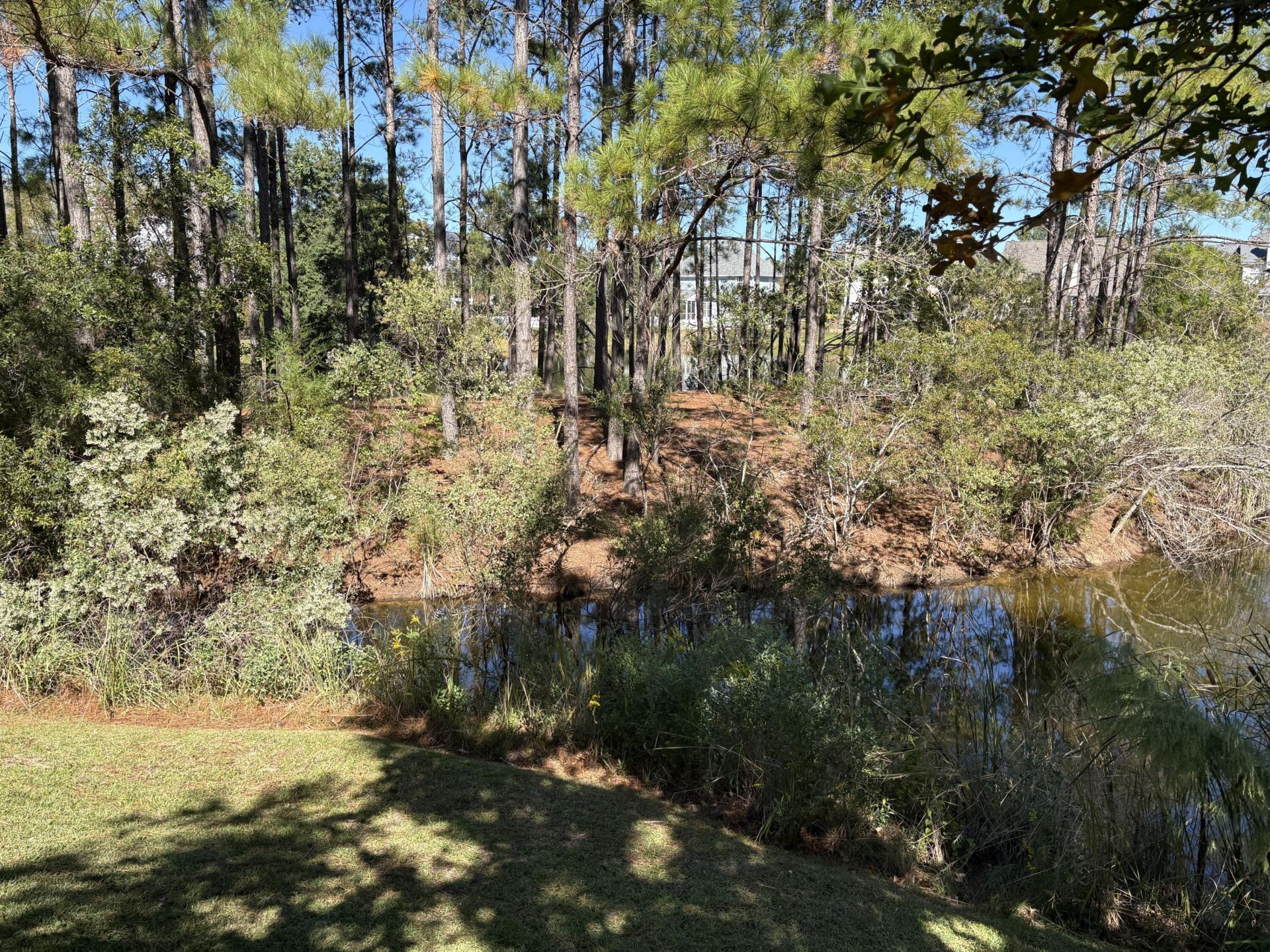 1358 Neighbors Way Photo 10