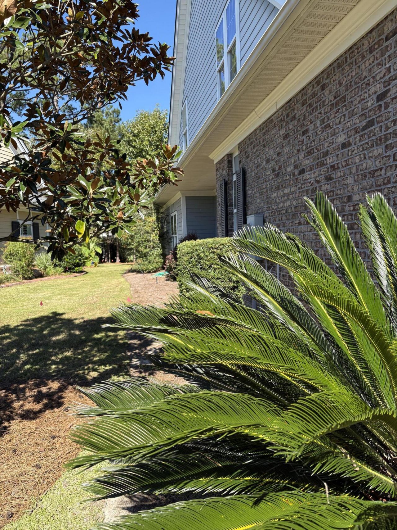 1358 Neighbors Way Photo 8