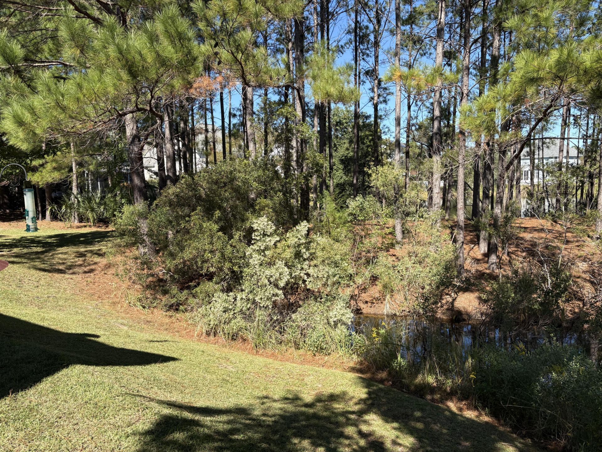 1358 Neighbors Way Photo 9