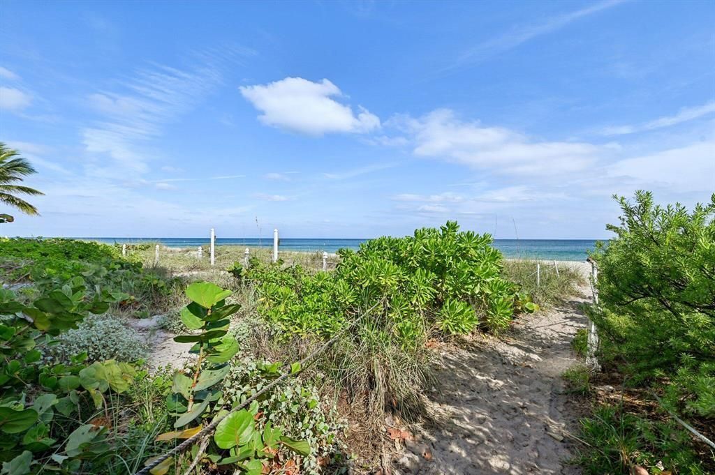 1461 S Ocean Boulevard, Unit 204, Pompano Beach, FL 33062 Photo