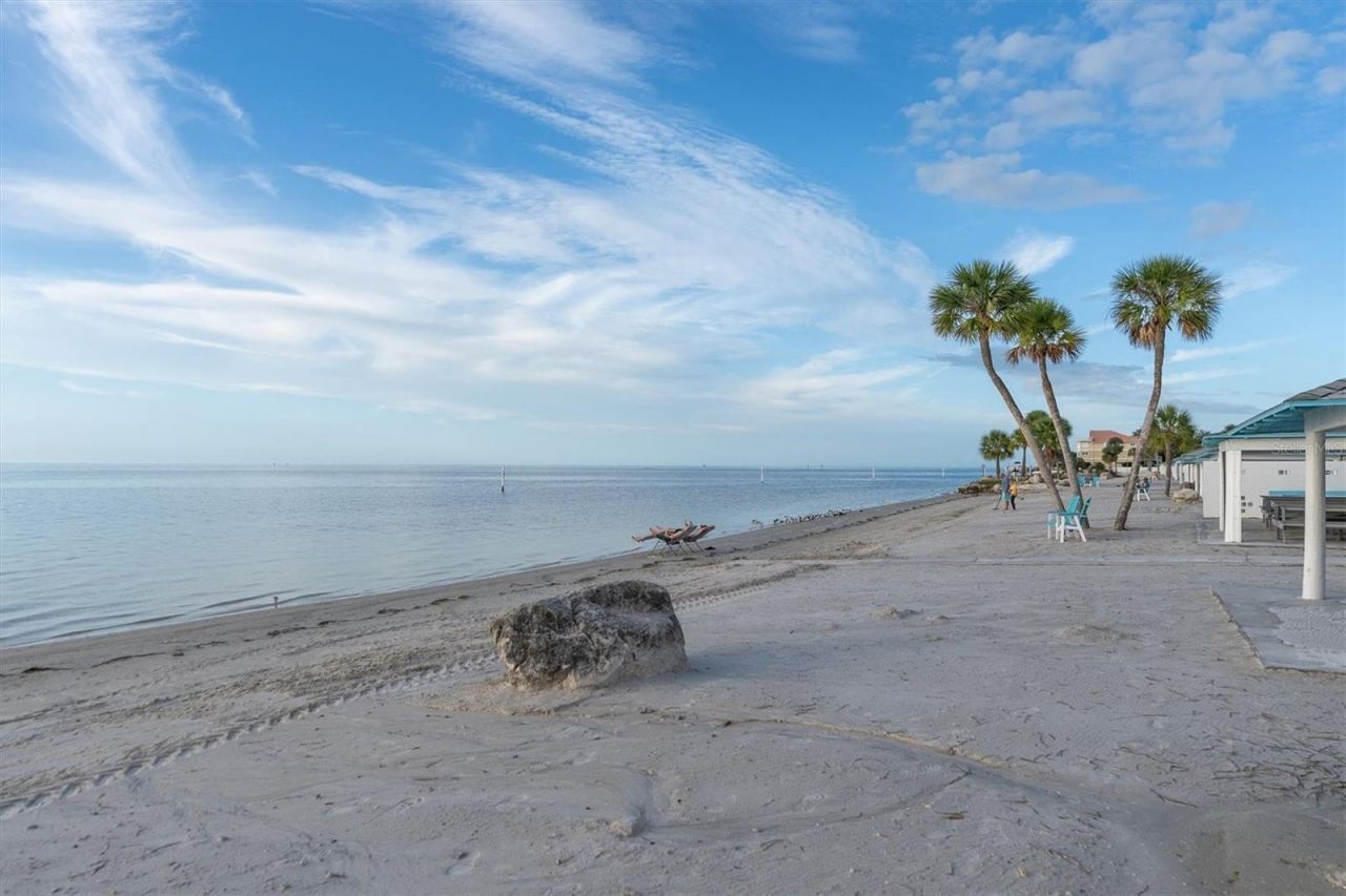 4351 Floramar Terrace , New Port Richey, FL 34652 Photo