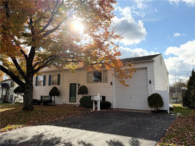 3061 Tod Avenue NW, Warren, OH 44485 Photo 2