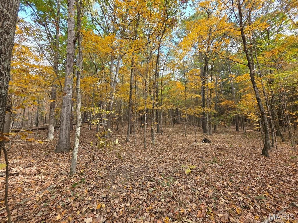 Tract 5 Madison 411 , Fredericktown, MO 63645 Main Photo