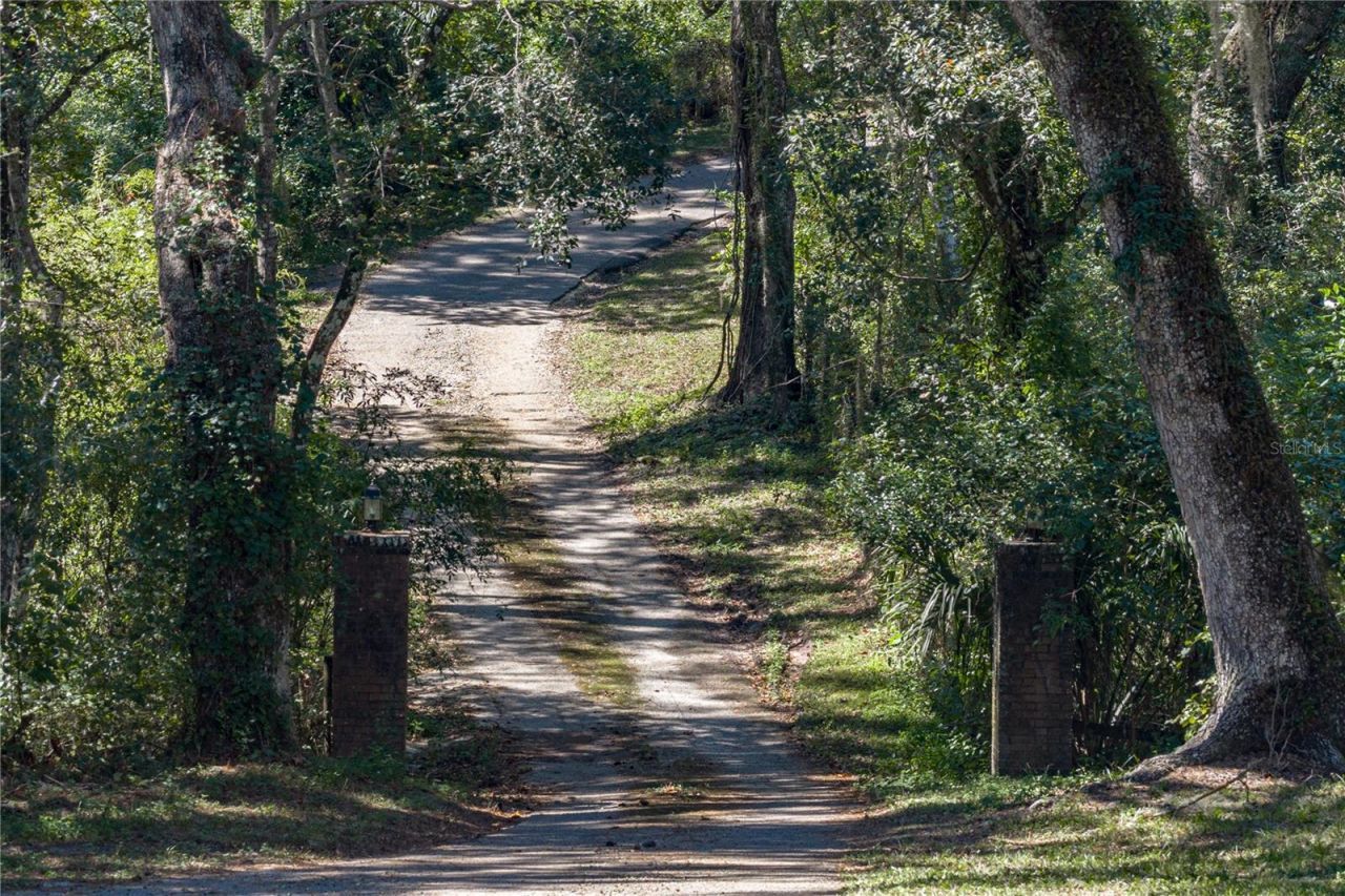 18728 Lake Iola Road, Dade City, FL 33523 Photo