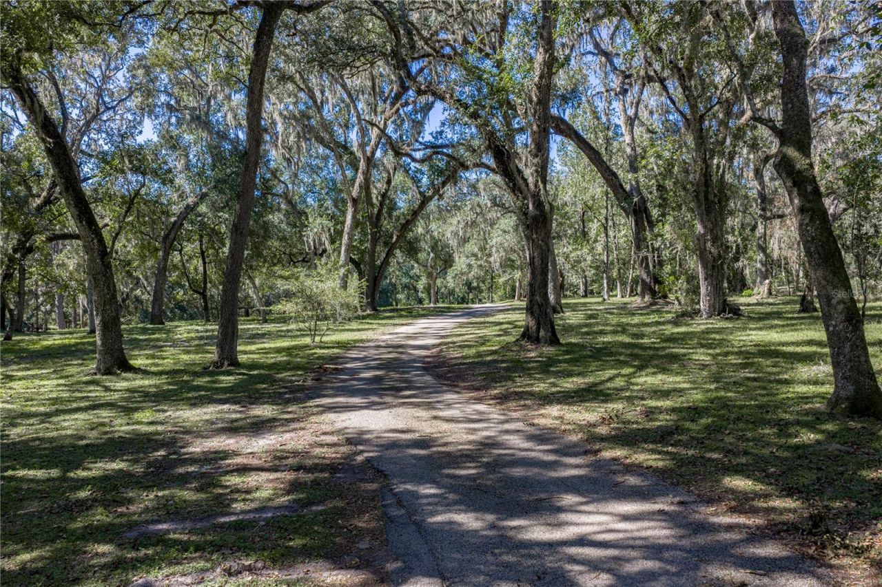 18728 Lake Iola Road, Dade City, FL 33523 Photo