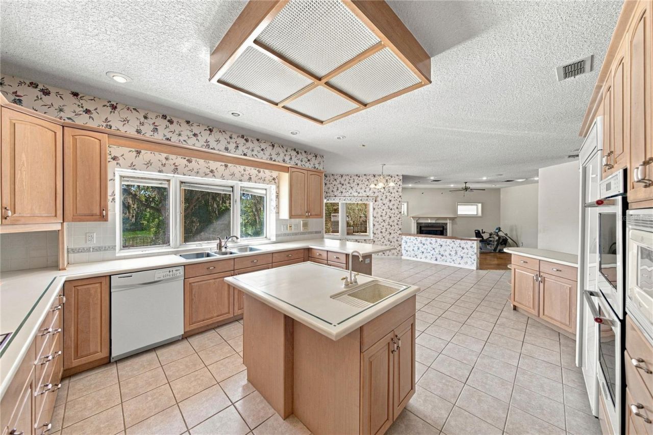 18728 Lake Iola Road, Dade City, FL 33523 Photo