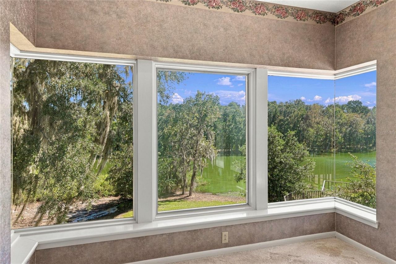 18728 Lake Iola Road, Dade City, FL 33523 Photo