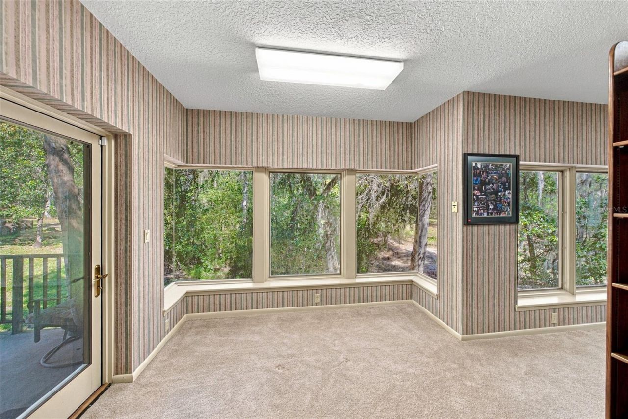18728 Lake Iola Road, Dade City, FL 33523 Photo