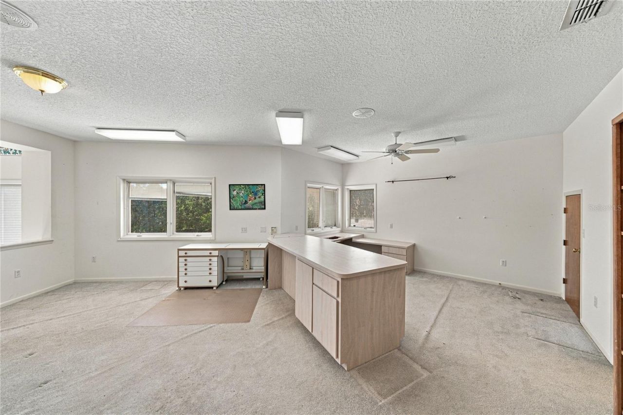 18728 Lake Iola Road, Dade City, FL 33523 Photo