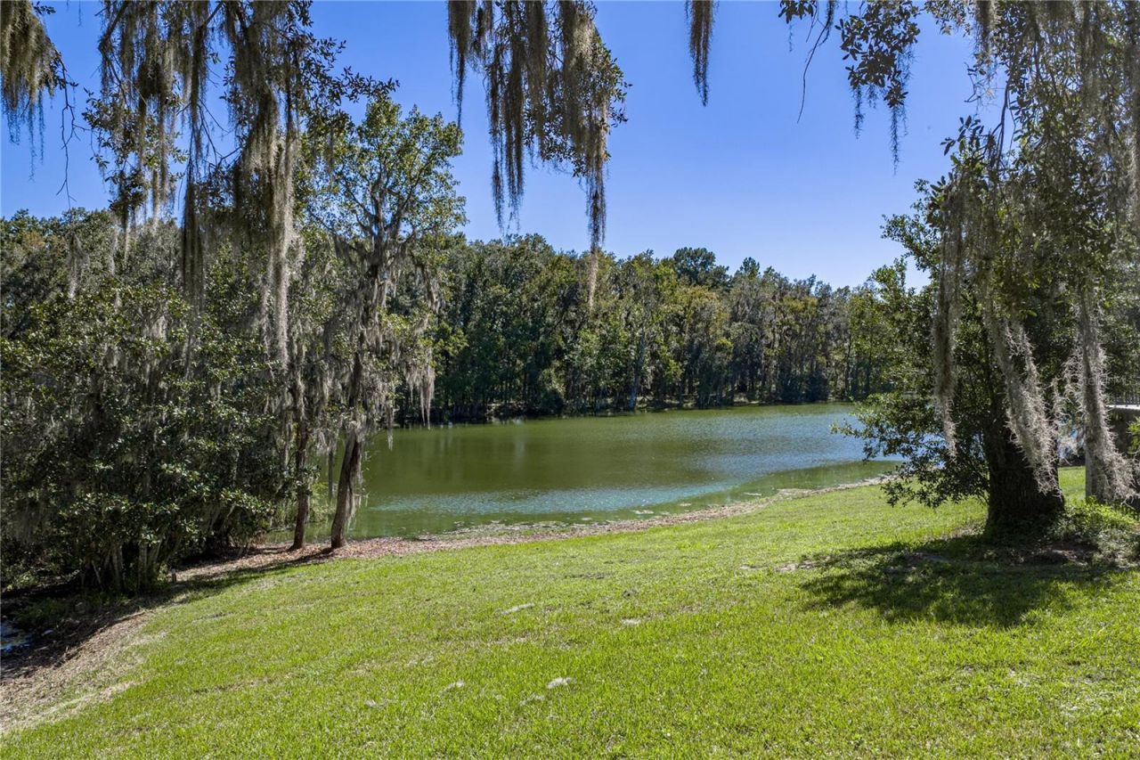 18728 Lake Iola Road, Dade City, FL 33523 Photo