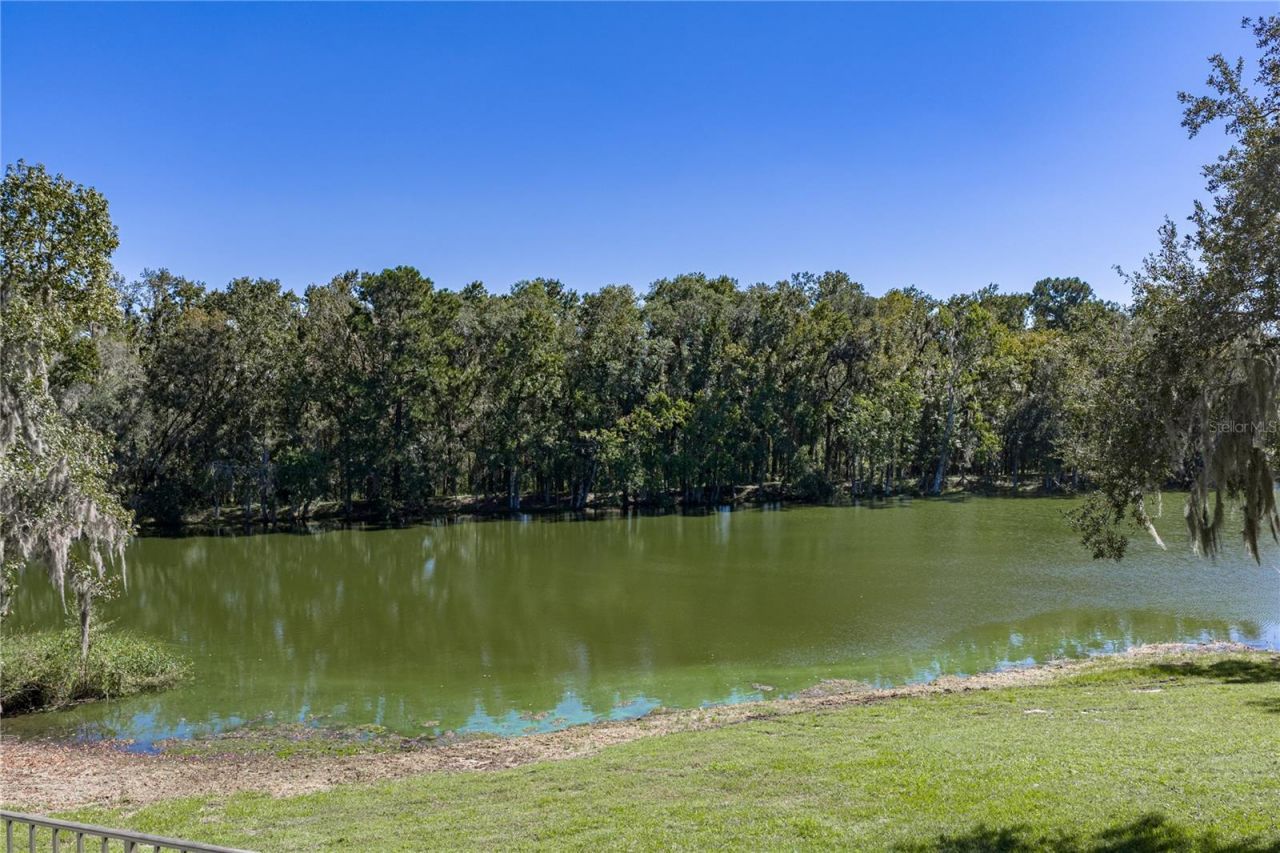 18728 Lake Iola Road, Dade City, FL 33523 Photo