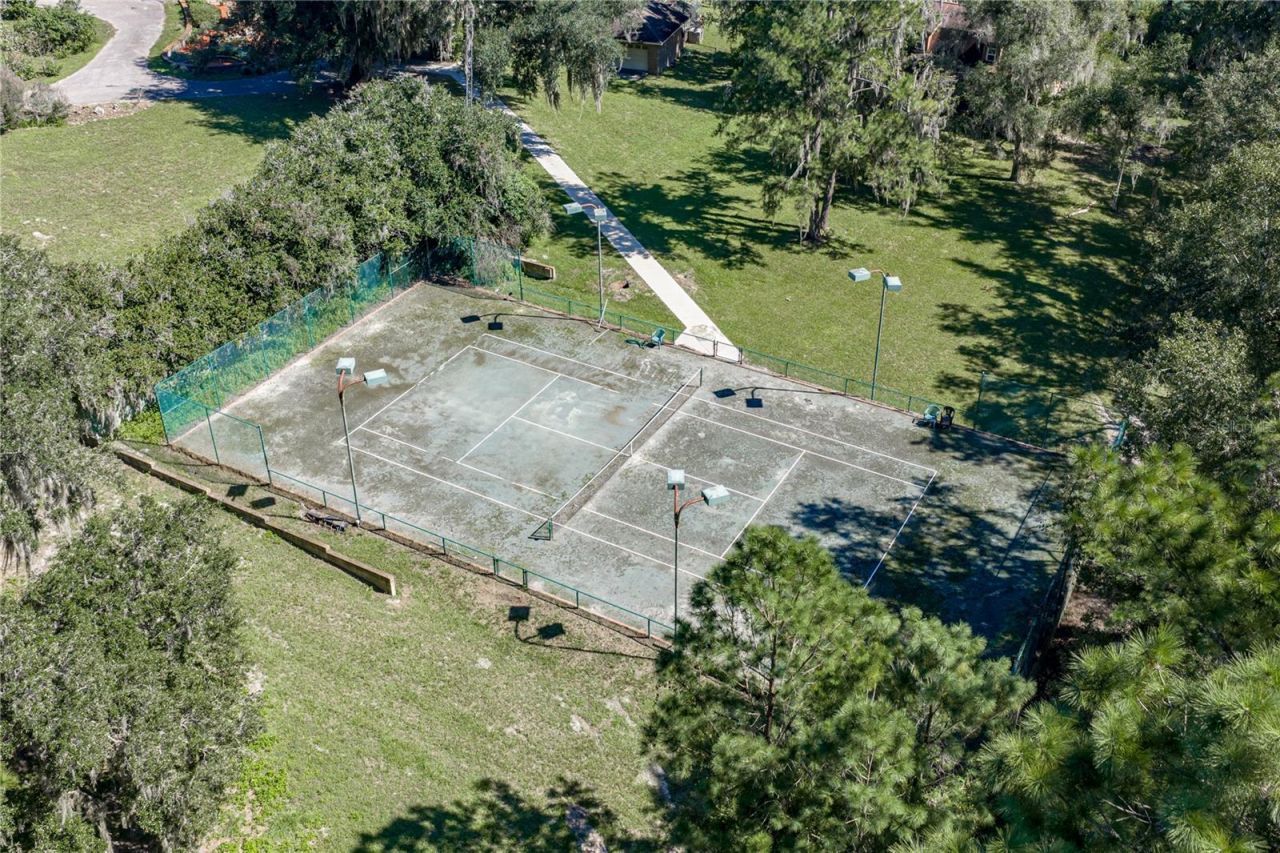 18728 Lake Iola Road, Dade City, FL 33523 Photo
