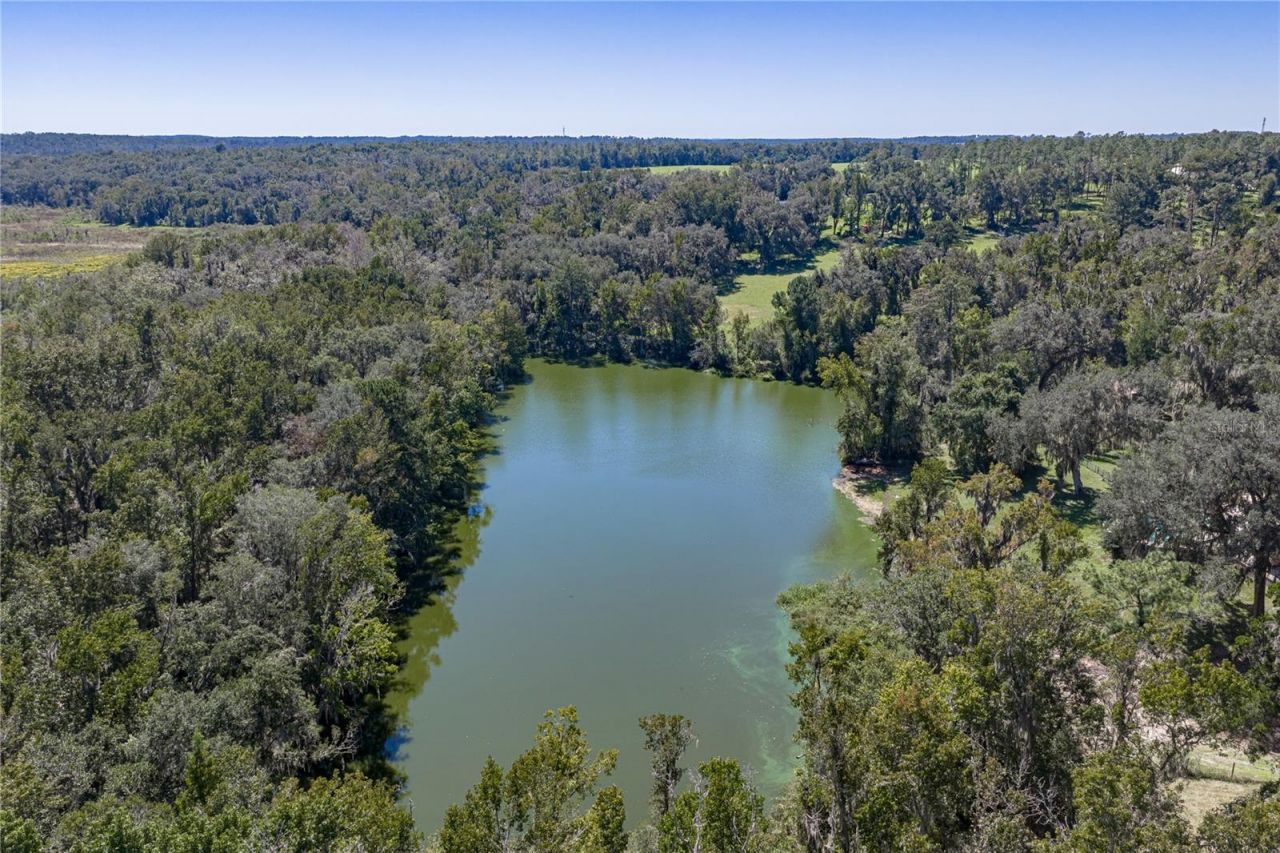 18728 Lake Iola Road, Dade City, FL 33523 Photo