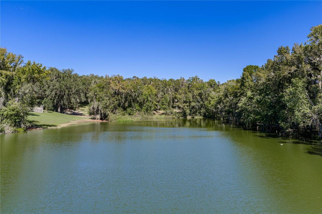 18728 Lake Iola Road, Dade City, FL 33523 Photo