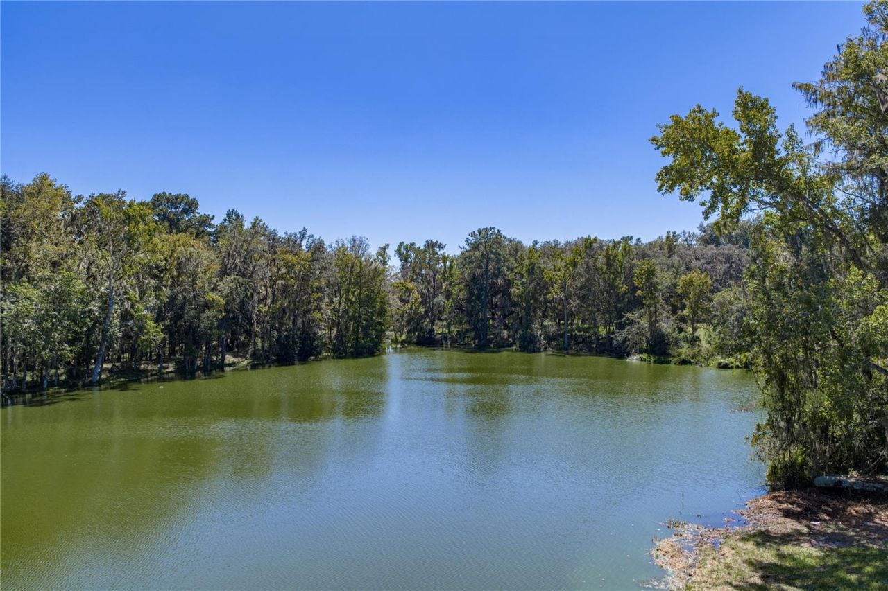 18728 Lake Iola Road, Dade City, FL 33523 Photo