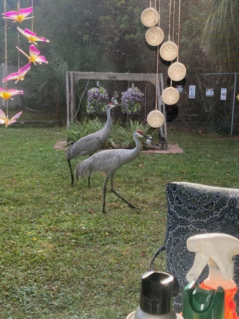 21632 State Road 54 , Unit 212, Lutz, FL 33549 Photo