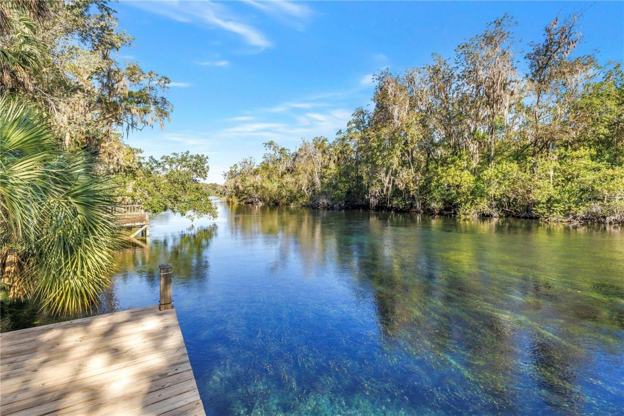 8885 SW 190th Avenue Road, Dunnellon, FL 34432 Photo