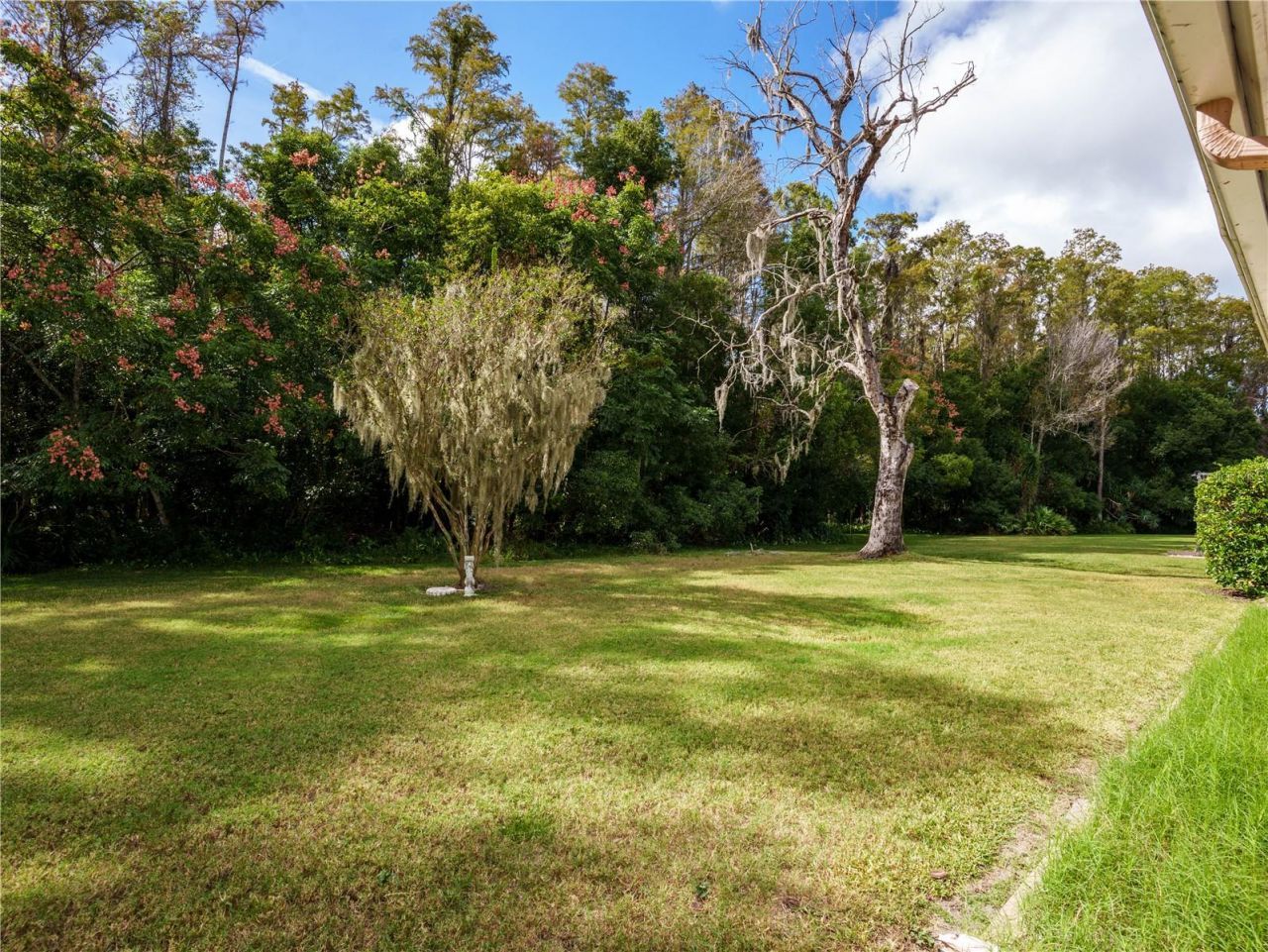 9730 Cavendish Court, New Port Richey, FL 34655 Photo