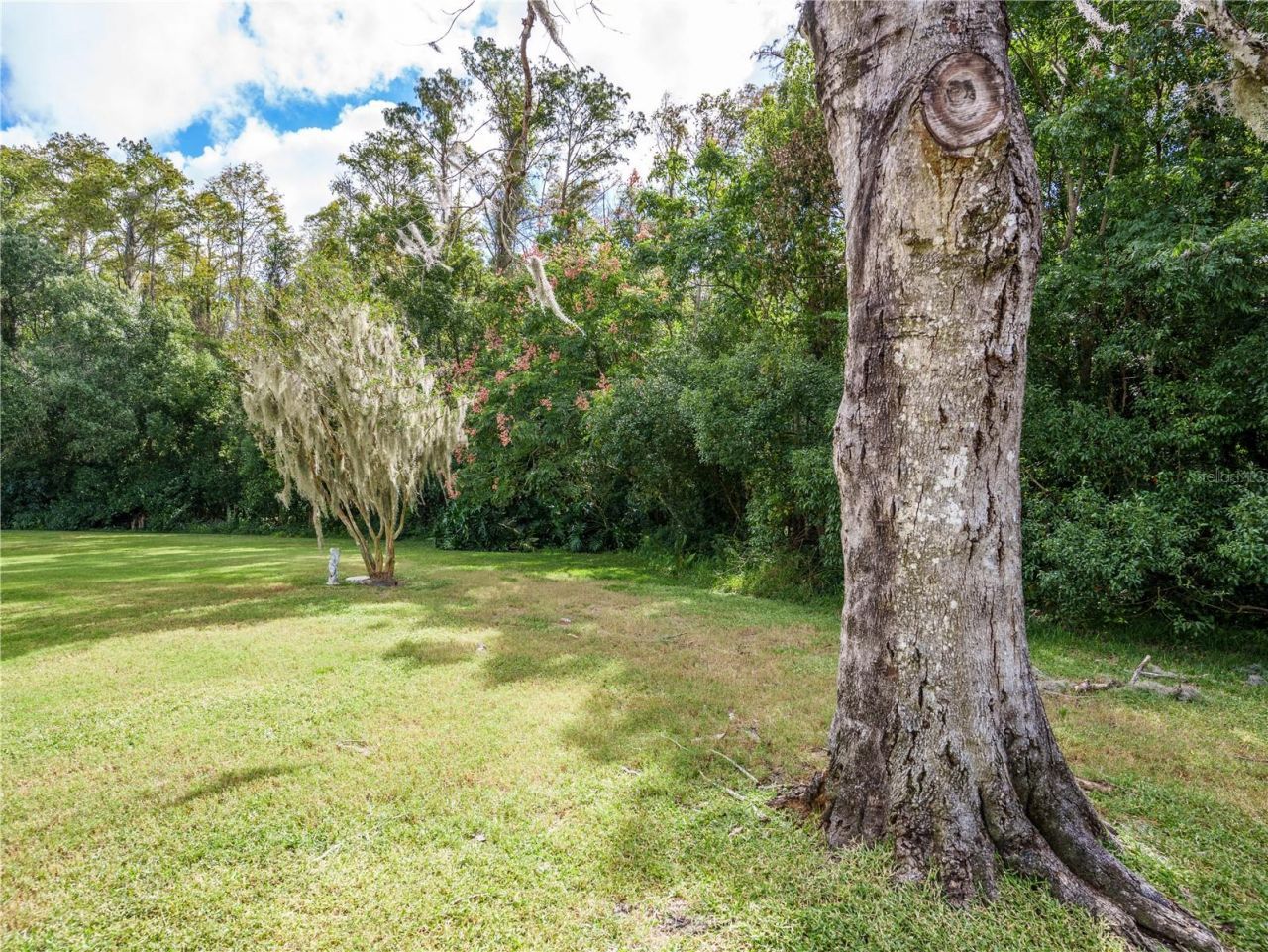 9730 Cavendish Court, New Port Richey, FL 34655 Photo