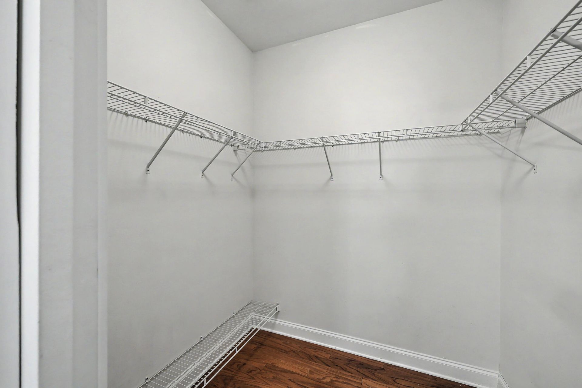 2844 Caitlins Way Photo 15