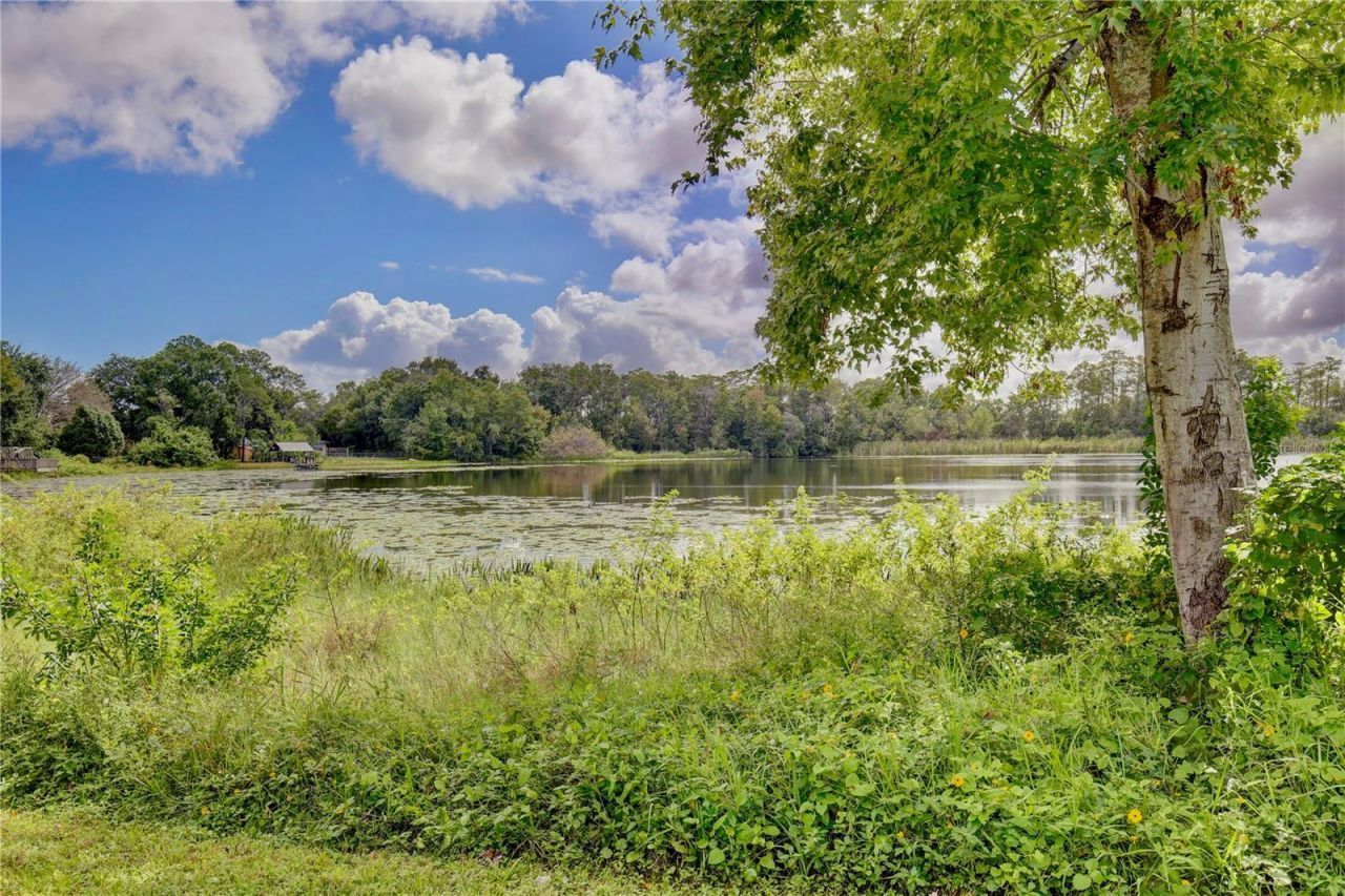 2032 Lake Christie Drive , Orlando, FL 32809 Photo