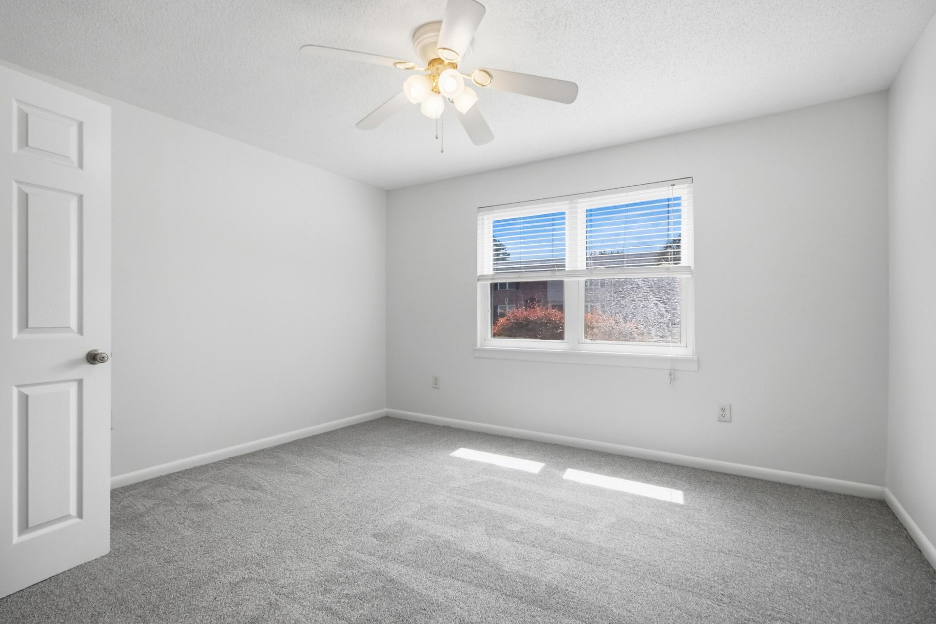 415 Parkdale Drive Photo 17