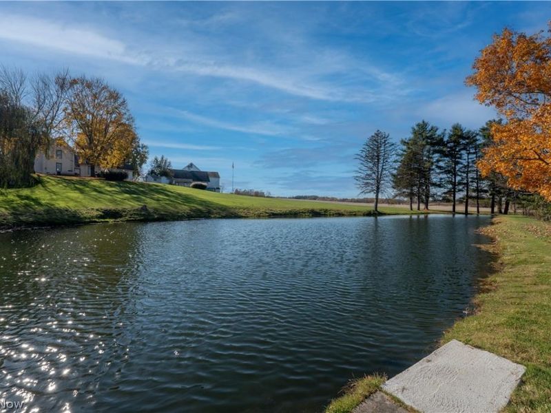 14449 Mccue Road , North Lawrence, OH 44666 Photo 15