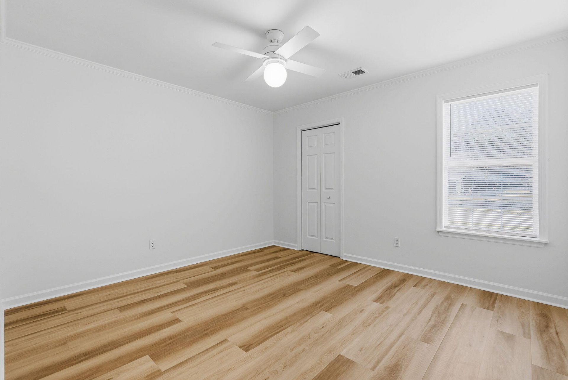 1009 Cass Drive Photo 13