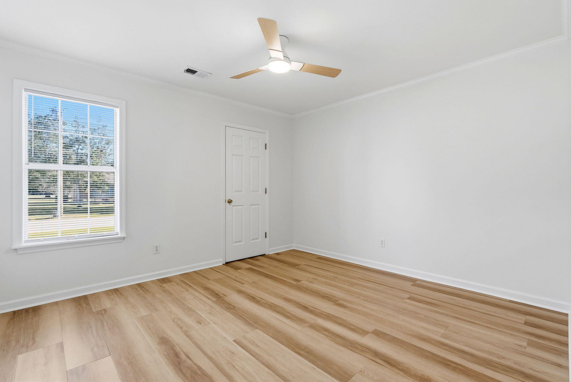 1009 Cass Drive Photo 14