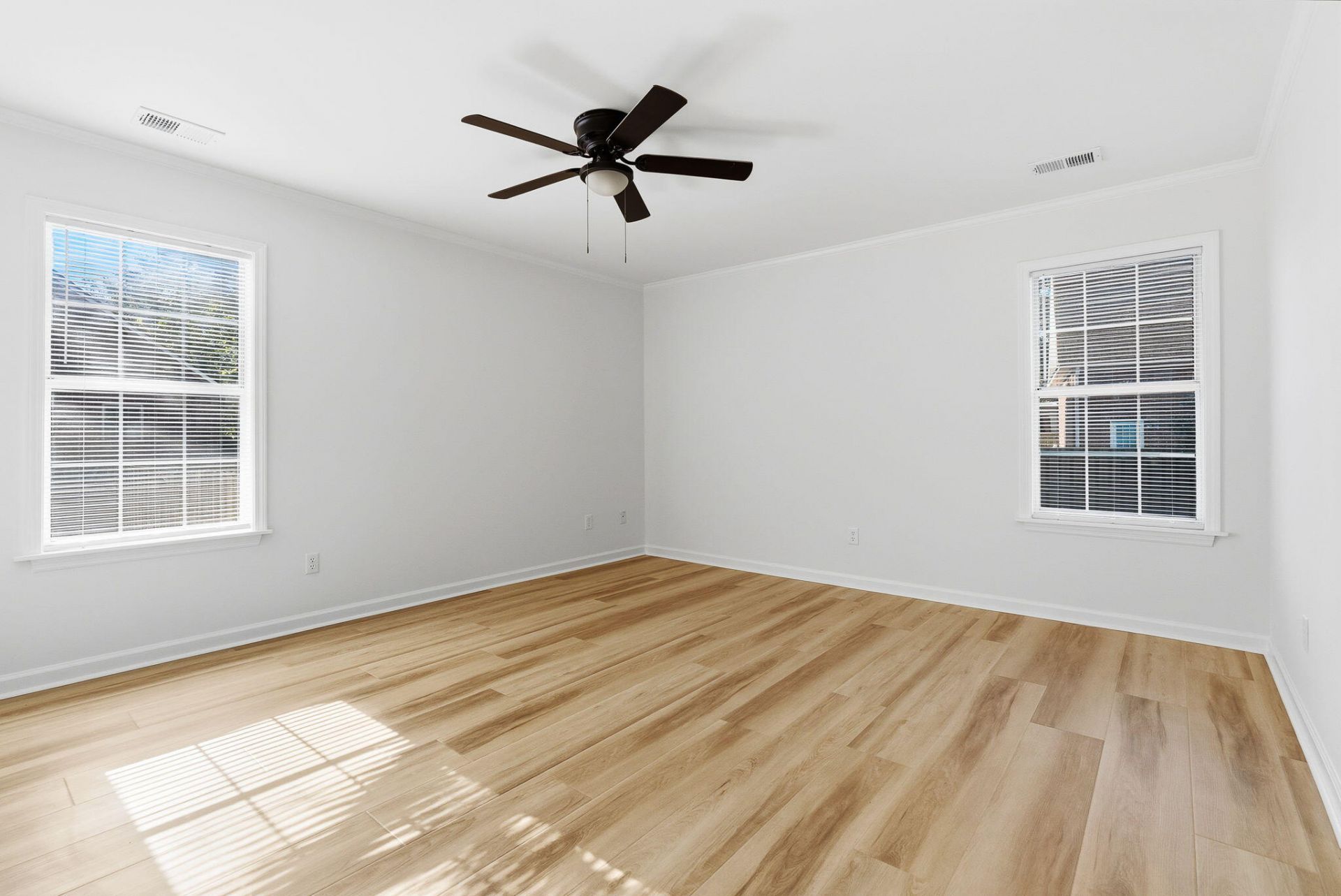 1009 Cass Drive Photo 15