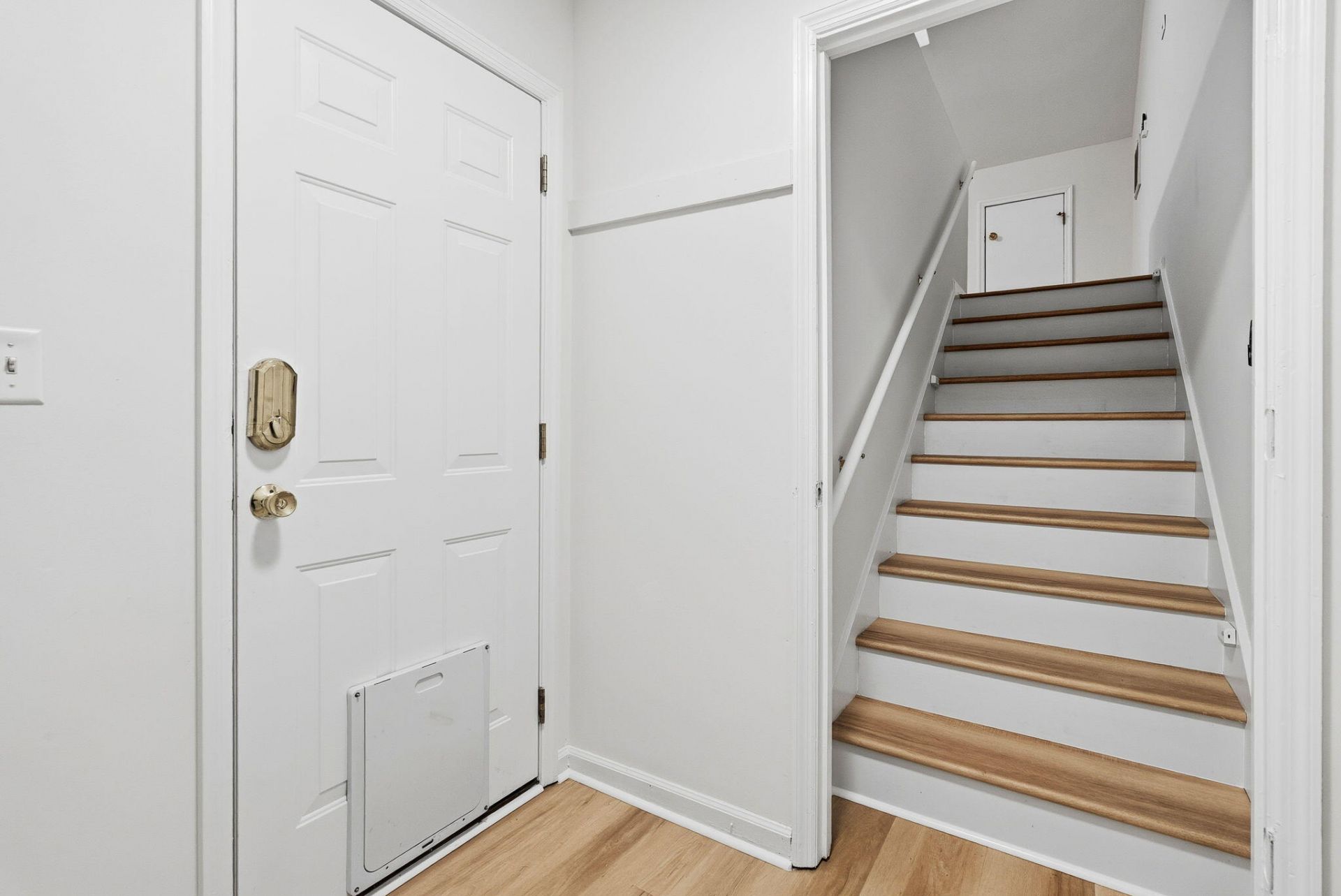 1009 Cass Drive Photo 17