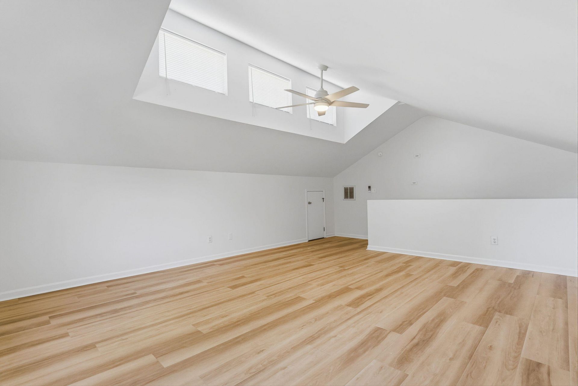 1009 Cass Drive Photo 18
