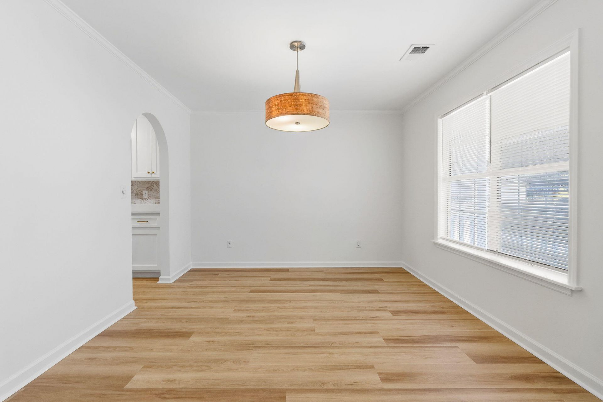 1009 Cass Drive Photo 6