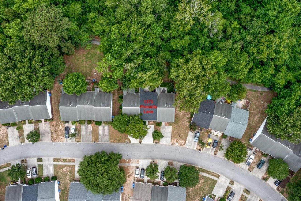 1373 Pinnacle Lane Photo 51