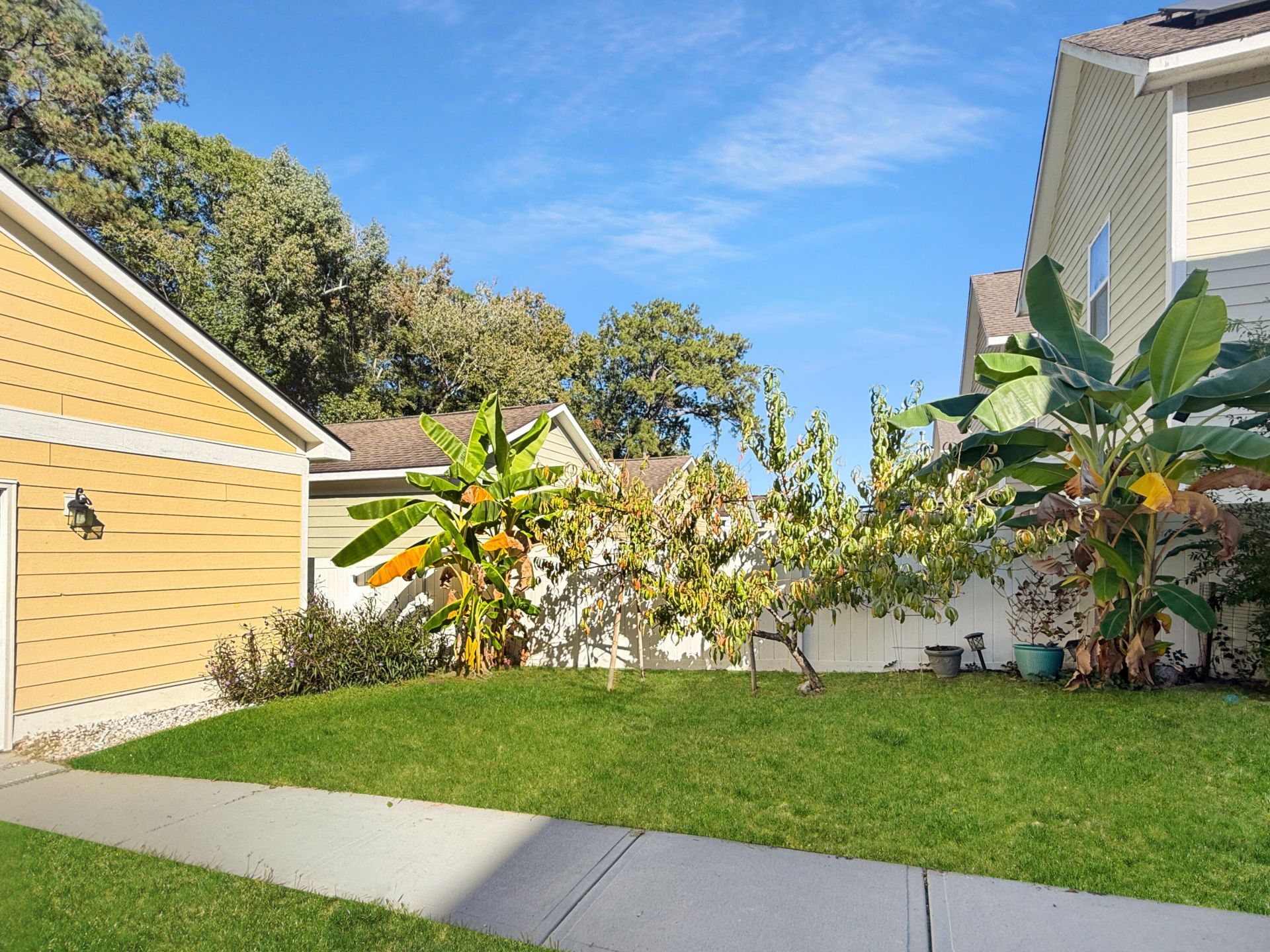 422 Forsythia Avenue Photo 24