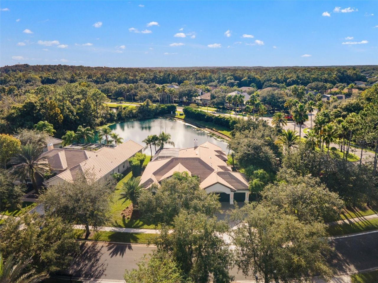17206 Talence Court, Tampa, FL 33647 Photo