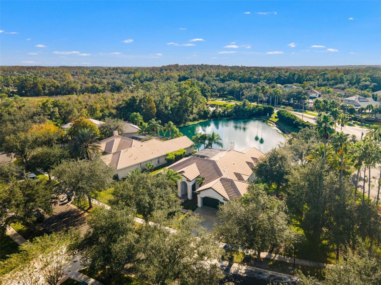 17206 Talence Court, Tampa, FL 33647 Photo