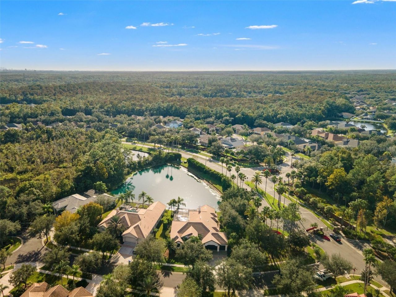 17206 Talence Court, Tampa, FL 33647 Photo