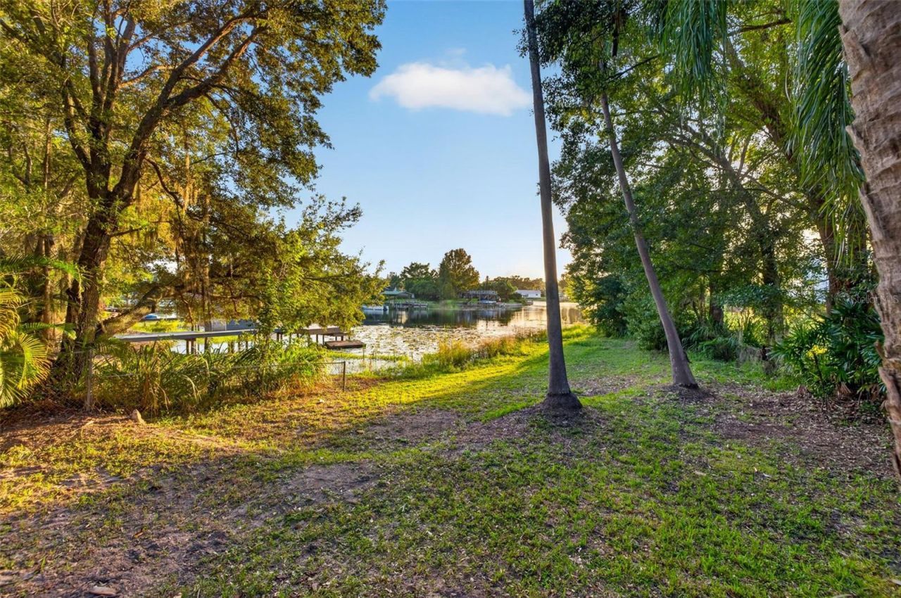 2404 Carroll Place, Tampa, FL 33612 Photo