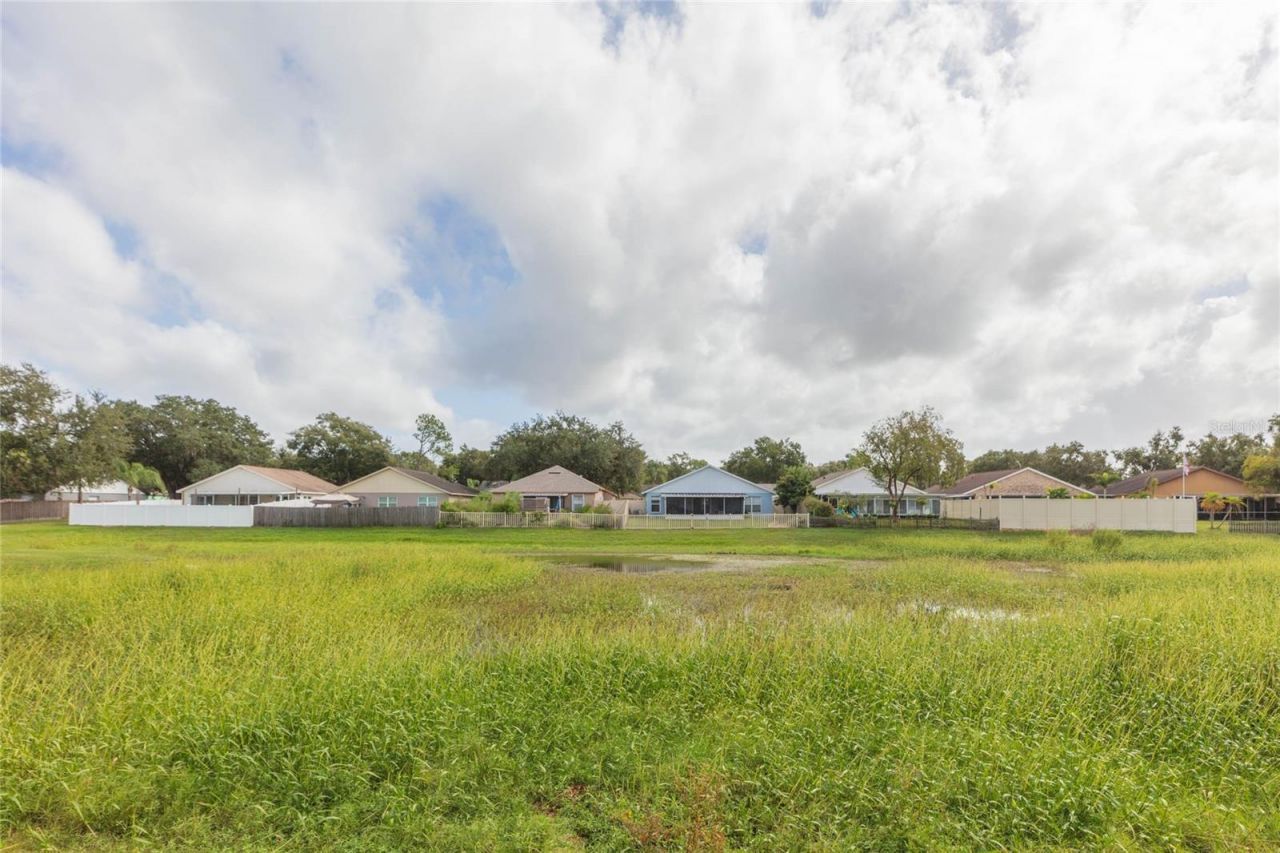 1770 Tinsmith Circle, Lutz, FL 33559 Photo